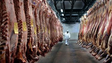 Brasil capitaliza su estatus de país libre de fiebre aftosa sin vacunación.
