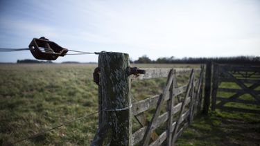 Senasa y la actualización de datos RENSPA para sanidad animal.
