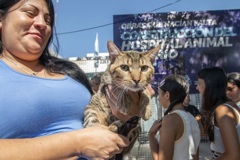 El nuevo hospital busca garantizar la salud y bienestar de los animales de compañía.
