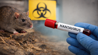 Riesgo para la salud pública: el hantavirus cobra vidas.