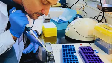 Este gran avance permitirá diseñar estrategias más eficientes para el control de la chicharrita.