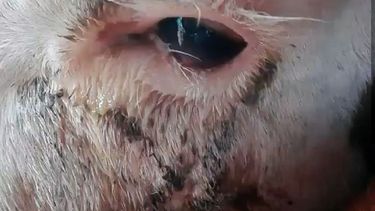 Motivar | Casos Raros 3.jpg