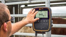 Trazabilidad. La elección de los dispositivos de lectura marca la performance de la producción. Trazabilidad. La elección de los dispositivos de lectura marca la performance de la producción.