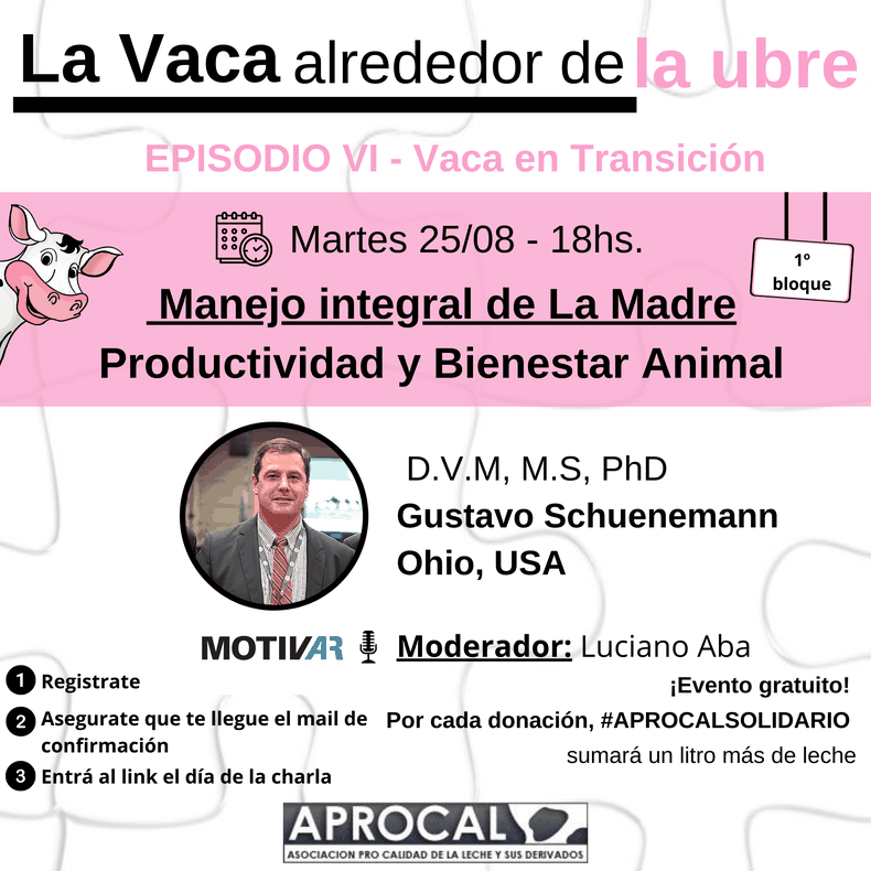 1º BLOQUE LVADLU.png