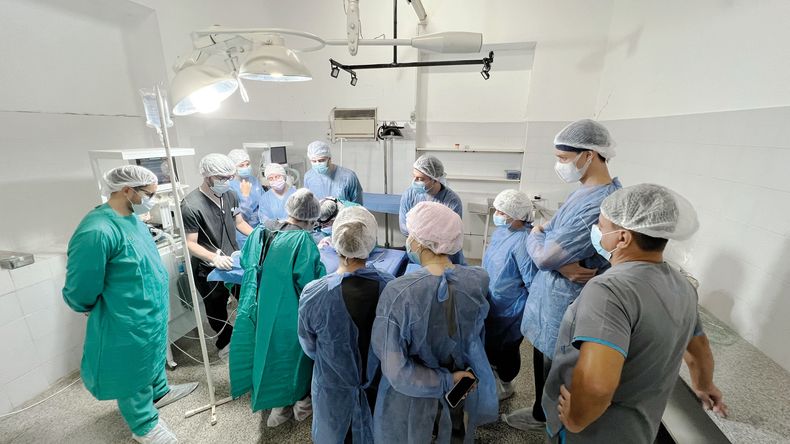 ¿Está en juego la formación de los futuros veterinarios?