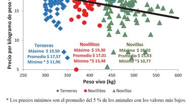 Motivar | Mac Loughlin 1.jpg