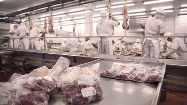 Exportaciones. Precios récord e incremento de los envíos a Estados Unidos.