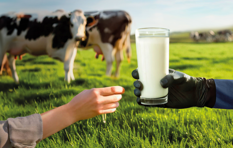 Bienestar animal y humano. Para entenderlo dentro del sistema de producción láctea, hay que enfocarse en la interacción entre el hombre y el animal.