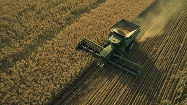 El gobierno de Estados Unidos, a través del USDA, autorizó la posibilidad de cultivar en su territorio, sin restricciones, el trigo&nbsp;transgénico argentino.
