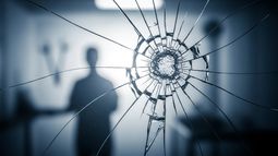 Cada vez más veterinarios son víctimas de todo tipo de agresiones. Cada vez más veterinarios son víctimas de todo tipo de agresiones.