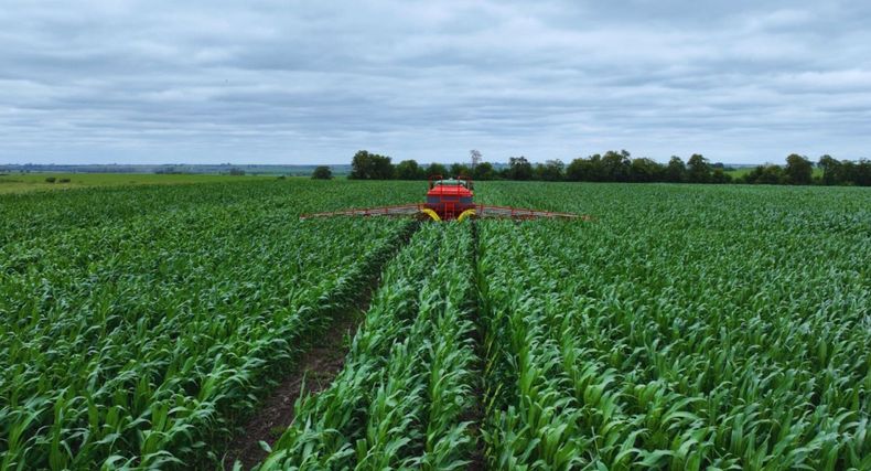 Especialistas del INTA destacan la importancia de invertir en fertilizantes para los cultivos.