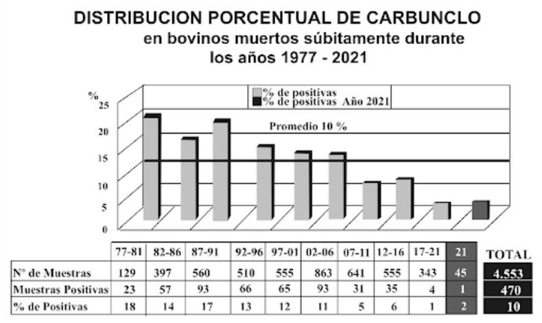 grafico carbunclo.jpg