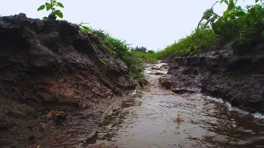 Desde el INTA expliucaron que, en Entre Ríos, másdel 57 % del suelo para producción tiene problemas de erosión hídrica desdeleves a severos.&nbsp;