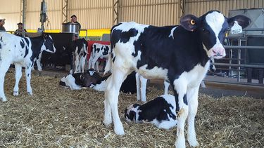 Motivar | Uruguay Apertura.jpg