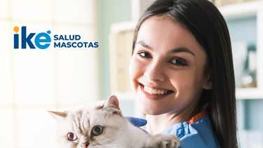 La empresa de soluciones del hogar y viales Iké, va por más servicios y apunta a la salud animal.