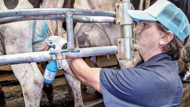 Udder Choice, la novedad de Chinfield.&nbsp; 