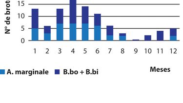 Motivar | Grafico Inmunologia.jpg