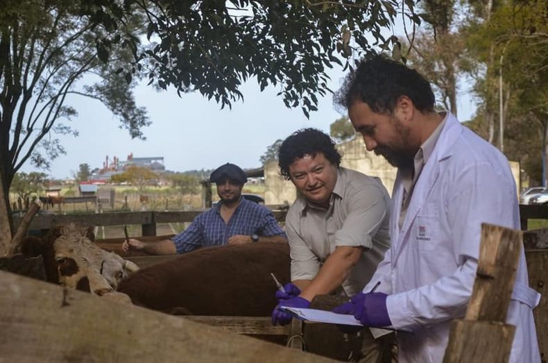 El INTA Mercedes realiza todo un trabajo de capacitación para un manejo adecuado de garrapatas y tristeza bovina.&nbsp;