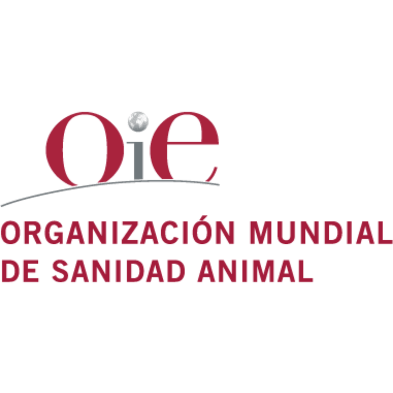 Diseno sin titulo 2021 05 28T111223.036.png