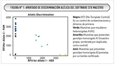 Laboratorio 9 de Julio muestra los resultados en bovinos de leche por discriminación alélica, diferenciando los tres tipos de animales según el gen de la β-caseína.