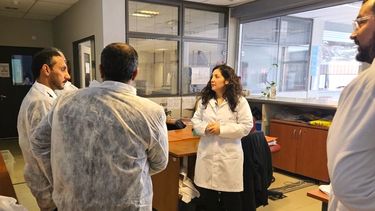 Equinos. El Senasa y una comitiva qatarí protagonizaron jornadas de capacitación de sanidad.