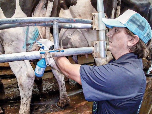 Udder Choice, la novedad de Chinfield.&nbsp;&nbsp;