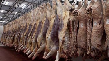 Habilitación y embarque impulsan exportaciones agroindustriales a China.