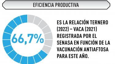 Indicadores bovinos.&nbsp;