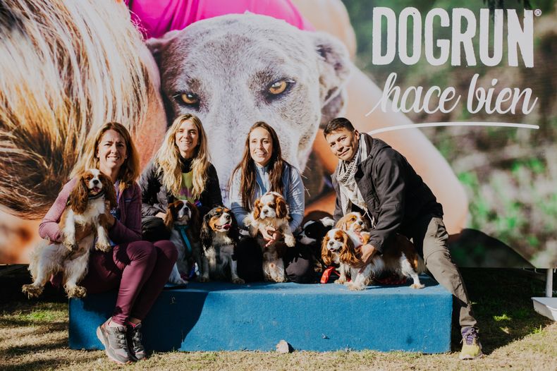 dogrun1.jpg