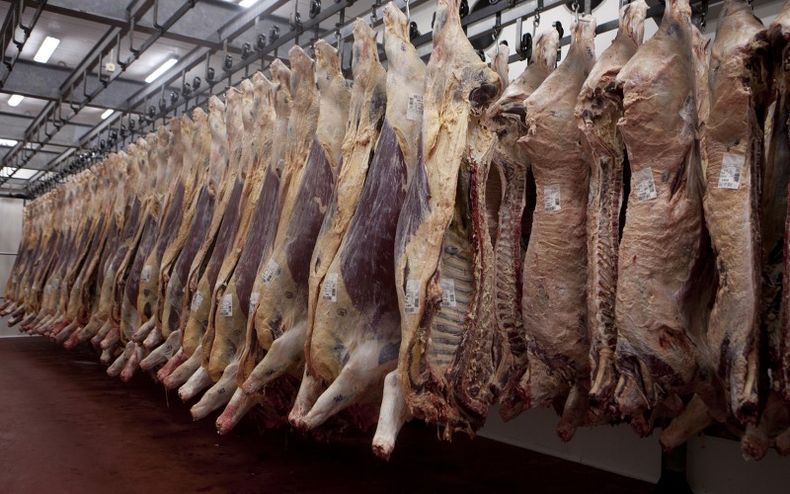 La faena de bovinos de enero de 2024 se incrementó en 76,3 mil cabezas con respecto a diciembre.