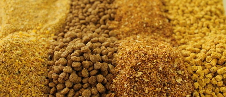 Producción y consumo de alimentos balanceados, en retroceso.