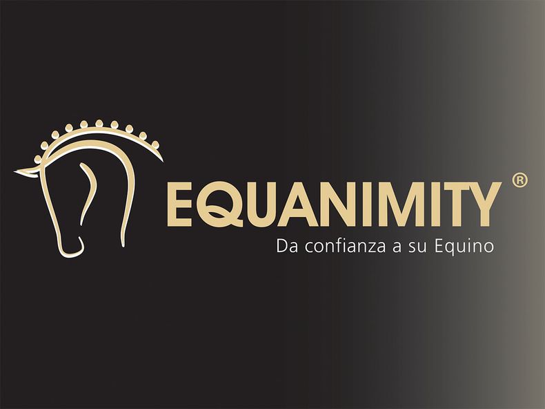 Logo Equanimity.jpg