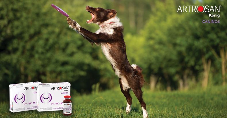 Artrosan Desafio 1.jpg