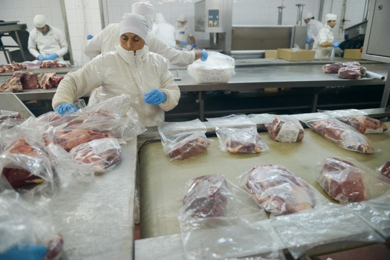 El sector cárnico argentino consolida su presencia global, impulsando las exportaciones y afianzando su rol estratégico en mercados internacionales.