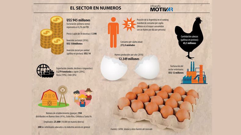 Infografia huevos 16 9.jpg