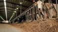 El control de la mastitis, clave para la calidad de la leche y la competitividad.