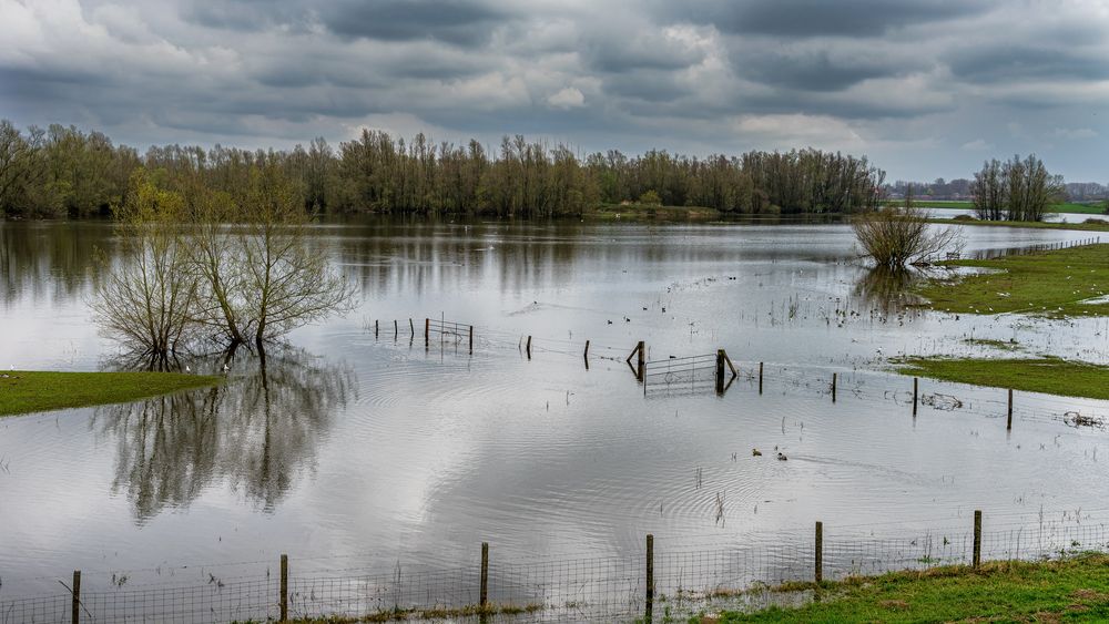 Millones de hectáreas del sector agropecuario son golpeadas por las inundaciones. Millones de hectáreas del sector agropecuario son golpeadas por las inundaciones.