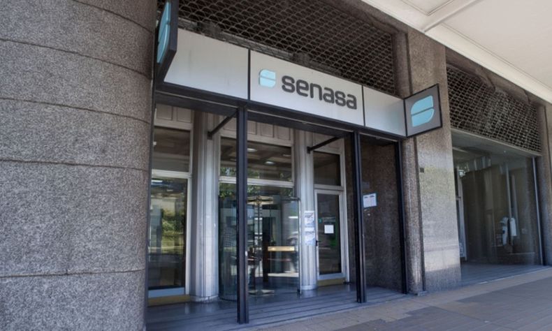 Senasa reemplaza los criterios vigentes desde 2002 y redefine cómo se analizan los riesgos asociados al consumo humano y animal de los desarrollos biotecnológicos (OGM).