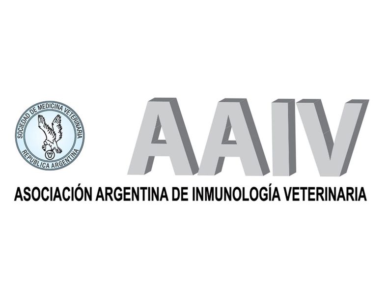 Logo AAIV 1.jpg