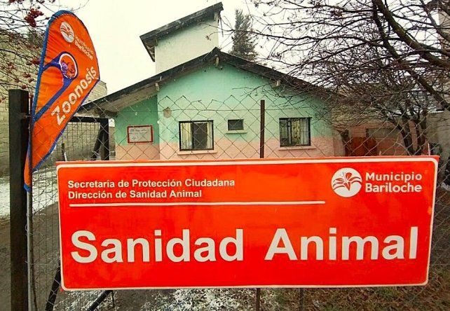 Un rebrote de brucelosis canina encendió la alarma e impulsó el estudio.