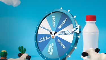 Más que la rueda de la fortuna, un paso a paso para avanzar en lechería y no quedar en el camino.﻿&nbsp;