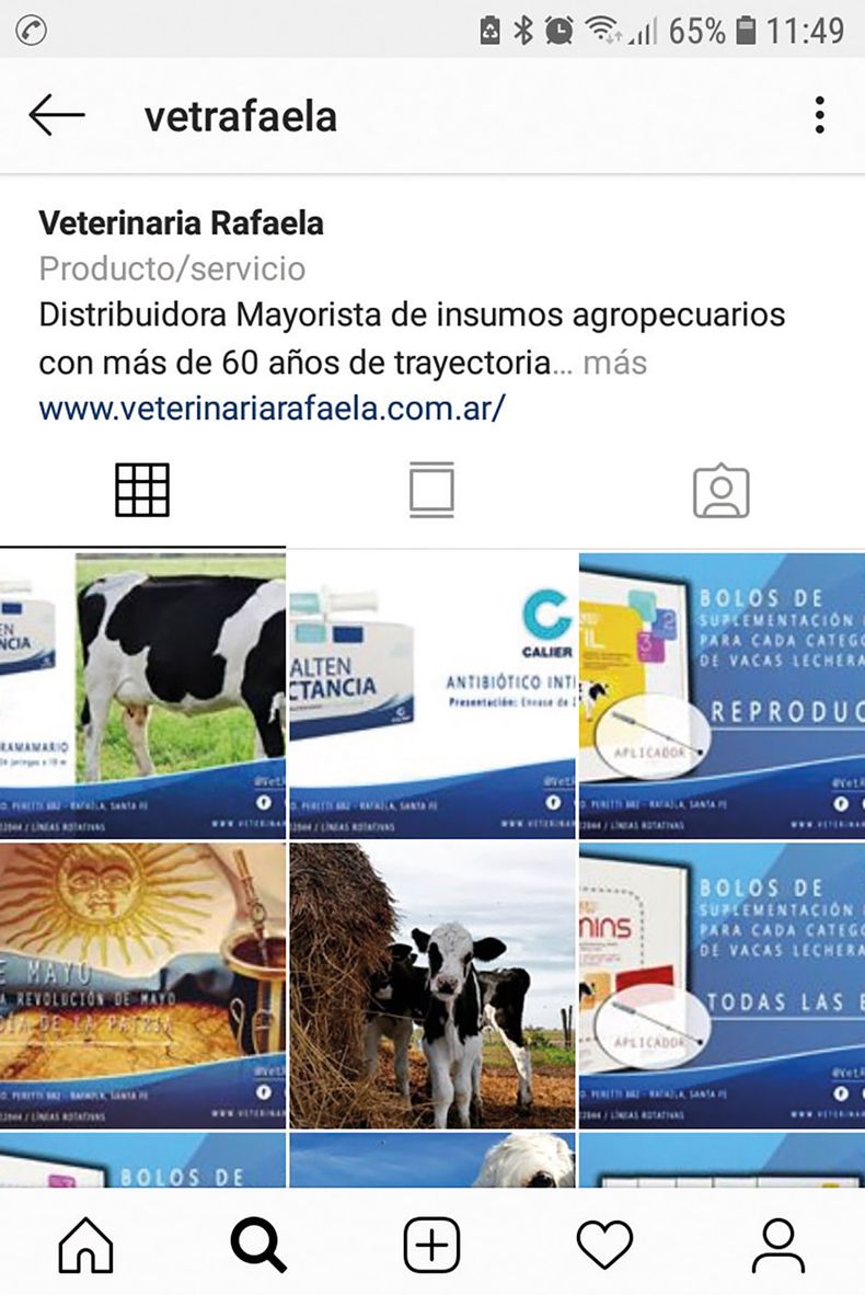 VetRafaela.jpg