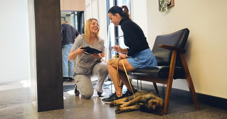 Tecnología e IA agilizan el Diagnóstico veterinario y cuidado animal.
