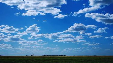 INTA brindó pronósticos del clima y recomendaciones para la toma de decisiones.