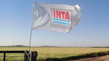 INTA, un organismo clave con financiamiento propio y una gobernanza representativa.