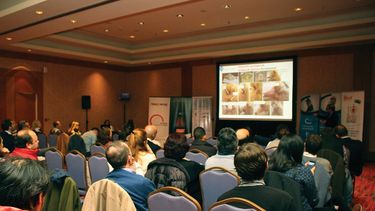 Motivar | CEVA Sheraton1.jpg