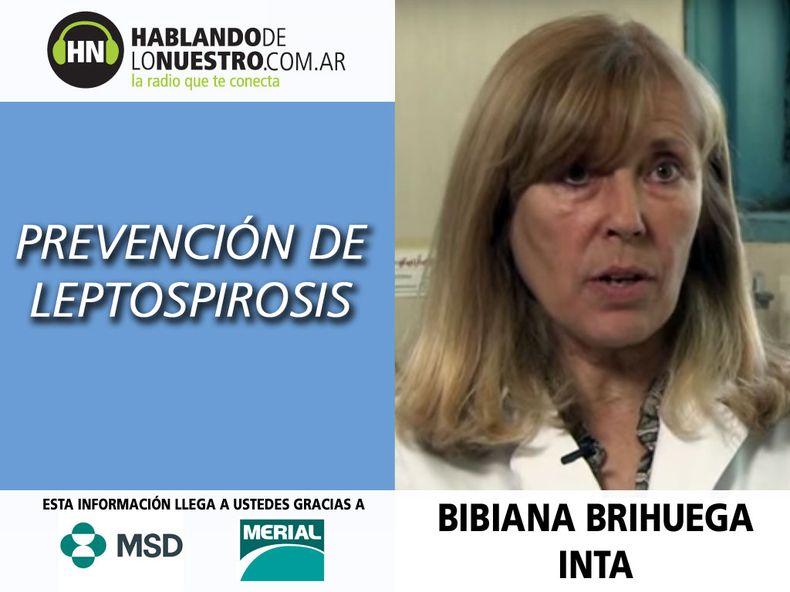 MOTIVAR Radio 50 INTA Leptospirosis.jpg