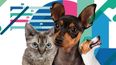 La encuesta permite obtener datos relevantes dela población de animales de compañía.