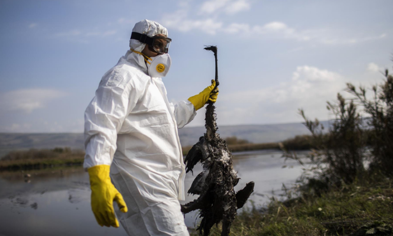 La prevención de zoonosis es clave para la salud pública y animal, bajo el enfoque de Una Sola Salud.