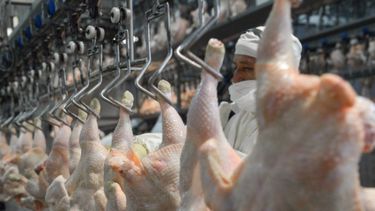 Exportaciones. Misiones oficiales reimpulsan el comercio internacional de carnes.